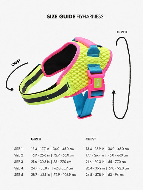 Size & Fit