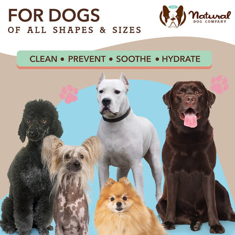 Natural Dog Company Skin Soother Wipes