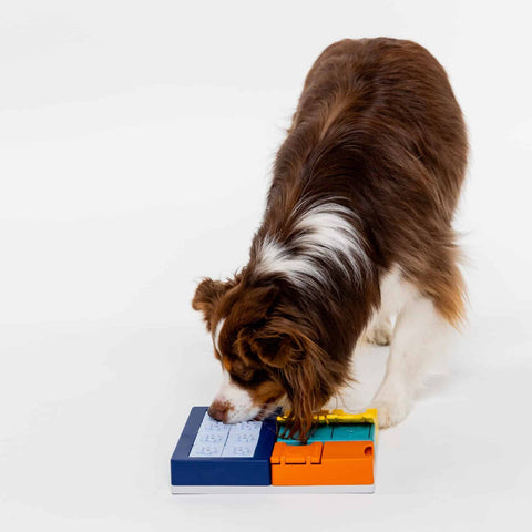 Pawzler Modular Dog Puzzle System | Smarty Set