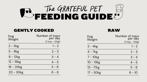 Feeding Guide & Transition