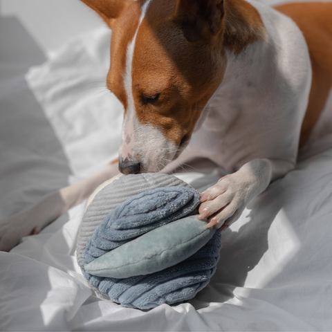 Lambwolf Collective TOTO snuffle ball