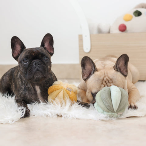 Lambwolf Collective TOTO snuffle ball