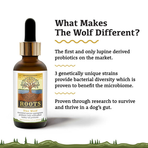 Adored Beast Apothecary Roots The Wolf | Species Appropriate Probiotic