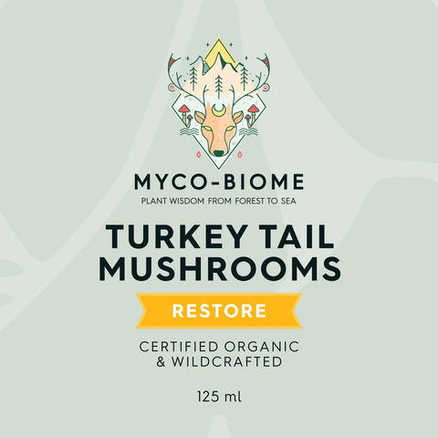 Adored Beast Apothecary Myco-Biome™ Turkey Tail Mushrooms | Liquid Extract