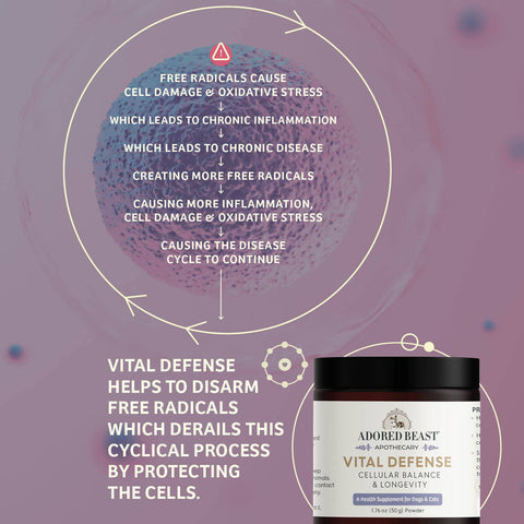 Adored Beast Apothecary Vital Defense | Cellular Support