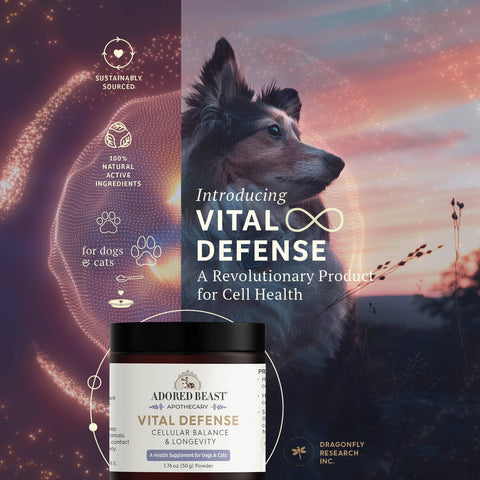 Adored Beast Apothecary Vital Defense | Cellular Support