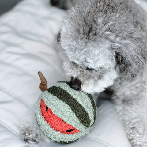 Lambwolf Collective Watermelon Pop