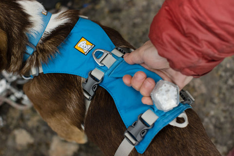 Ruffwear Flagline™ Harness