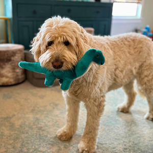 Fluff & Tuff Ross Brachiosaurus