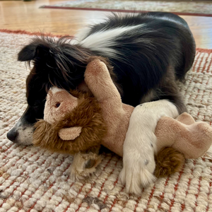 Fluff & Tuff Leo Lion