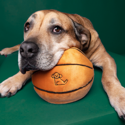 Fluff & Tuff Basketball