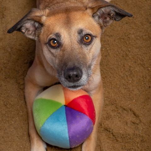 Fluff & Tuff Mini Beach Ball