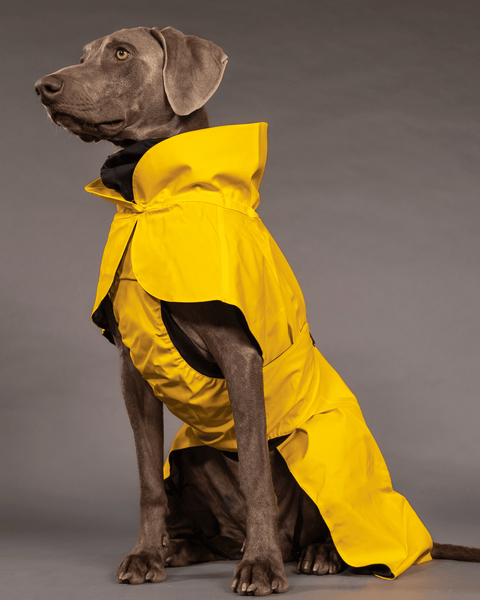 PAIKKA Visibility Raincoat Lite | Yellow