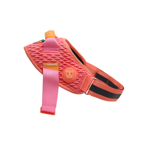 Zee.Dog FlyHarness
