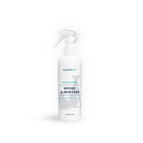 Beyond Clean Antimicrobial Pet Wound & Skin Care, 250ml