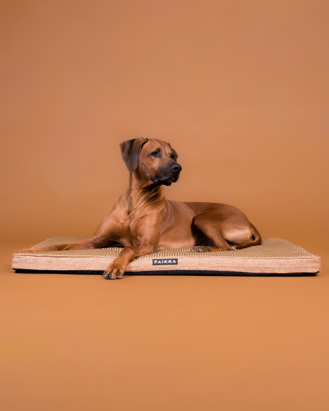 PAIKKA Cooling Orthopedic Mattress | Taupe