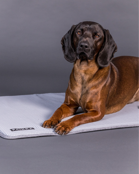 PAIKKA Cooling Mat | Grey