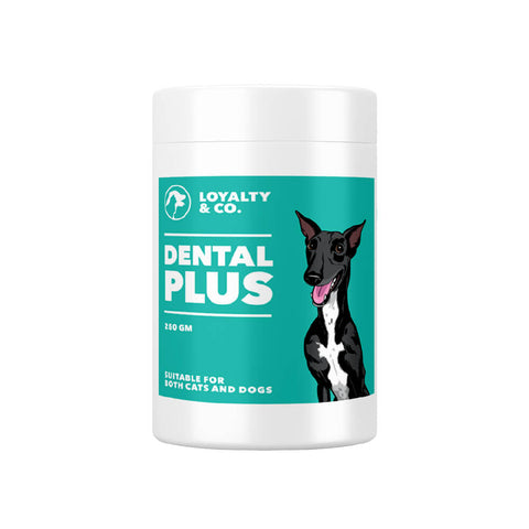 Loyalty & Co. Dental Plus | Organic