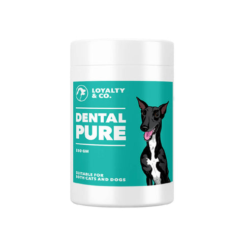 Loyalty & Co. Dental Pure | Single Ingredient