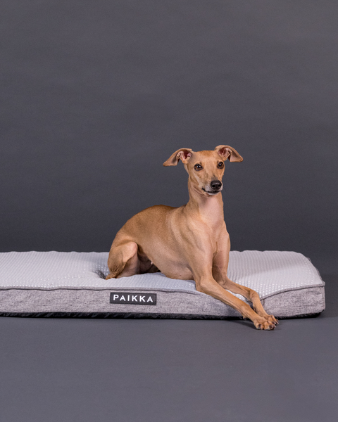 PAIKKA Cooling Orthopedic Mattress | Grey