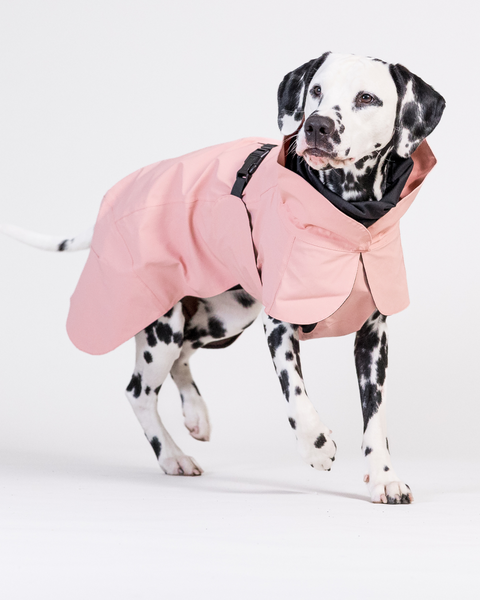 PAIKKA Visibility Raincoat Lite | Rose