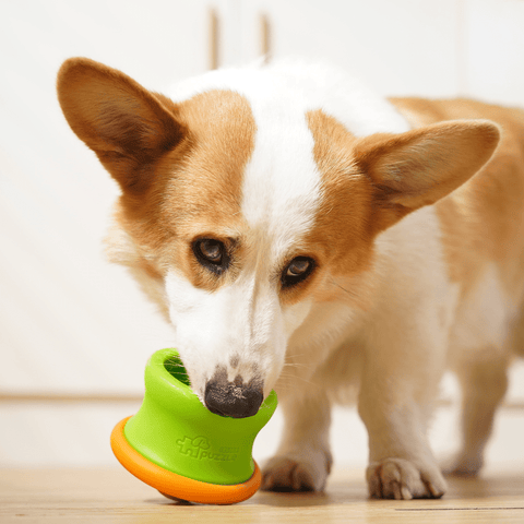 Puzzle Feeder™ Dog Puzzle Tumbler - Enrichment Toy
