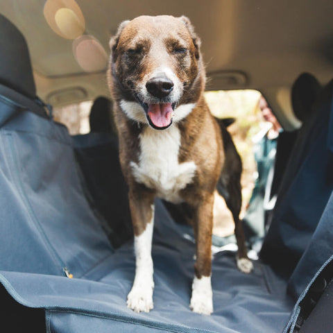 Ruffwear Dirtbag™ Seat Cover