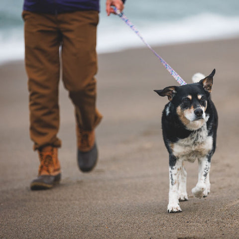 Ruffwear Front Range™ Leash