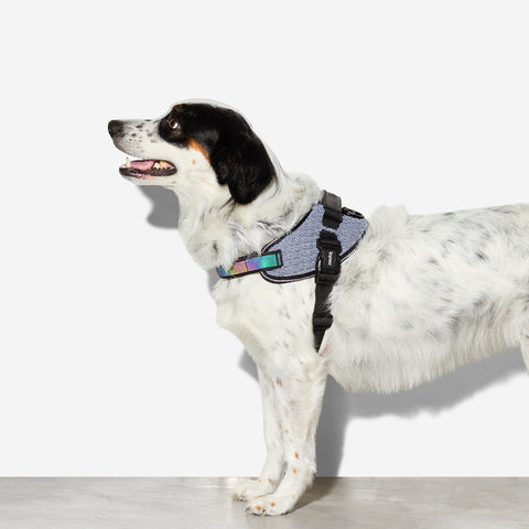 Zee.Dog FlyHarness