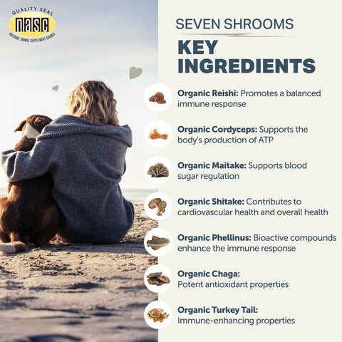 Four Leaf Rover Seven Shrooms | 7 Mushroom Blend