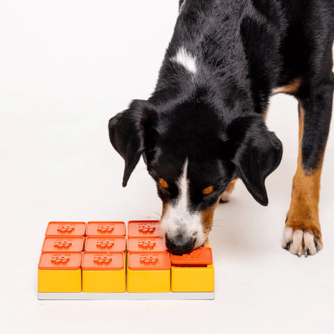 Pawzler | Treat Maze Set