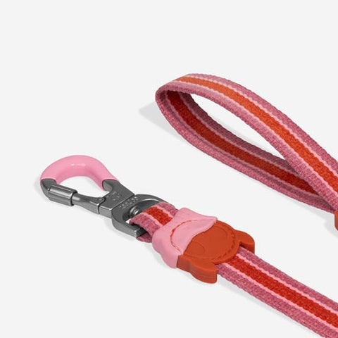 Zee.Dog Classic Leash | Velvet Vibes Collection