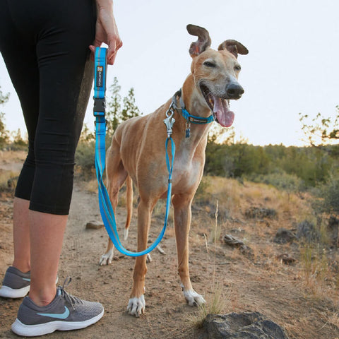 Ruffwear Web Reaction™ Collar