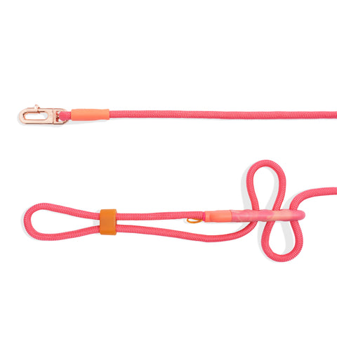 Zee.Dog Hands-Free Leash