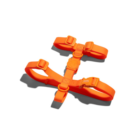 Zee.Dog H-Harness | NeoPro™ Waterproof Collection