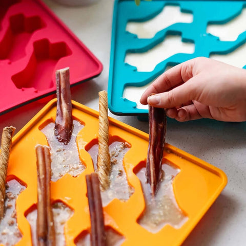 Messy Mutts Framed "Spill Resistant" Silicone Popsicle Treat Mold | Orange