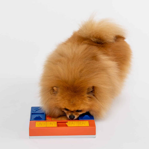 Pawzler Modular Dog Puzzle System | Beginner Set