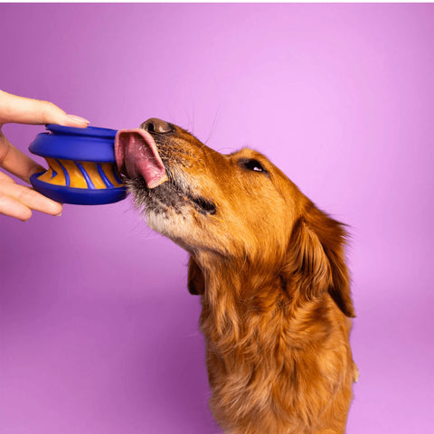 WAGLAB Playstack | The Slobber