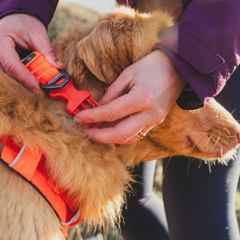 Ruffwear Front Range™ Collar
