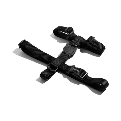 Zee.Dog H-Harness | Classic Collection