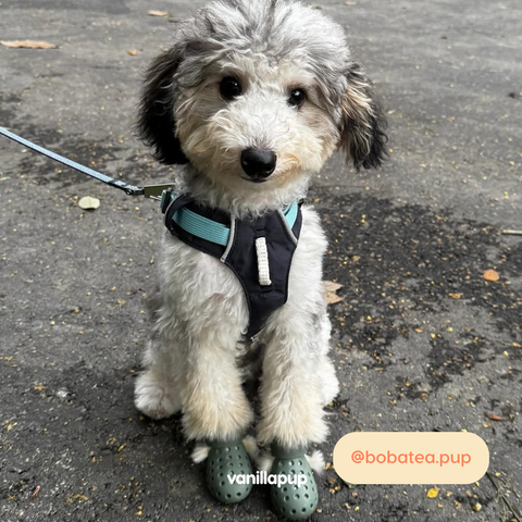 Ruffwear Hi & Light™ Harness