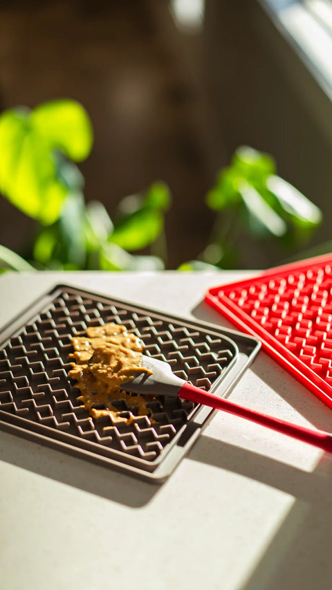 Messy Mutts Silicone Therapeutic Licking Mat with Silicone Spatula
