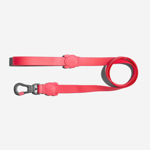 Zee.Dog Classic Leash | NeoPro Waterproof Collection