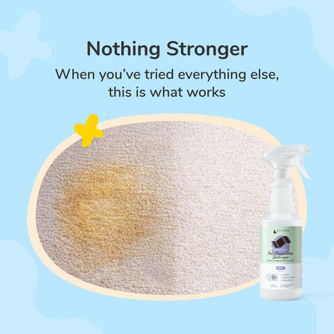 kin+kind Pee, Stain & Odor Destroyer | Carpet & Fabric