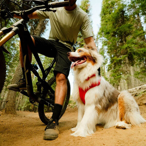 Ruffwear Front Range™ Flex Collar