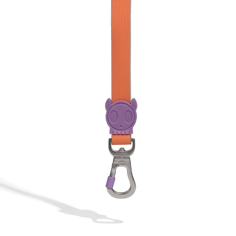 Zee.Dog Classic Leash | NeoPro Waterproof Collection