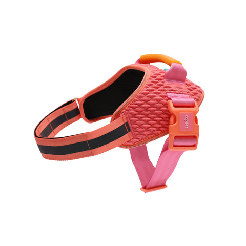 Zee.Dog FlyHarness