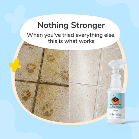 kin+kind Pee, Stain & Odor Destroyer | Multi-Surface