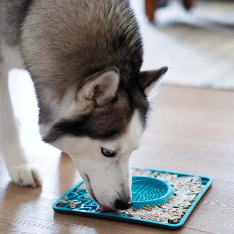 Messy Mutts Framed Spill Resistant Silicone Dog Lick Bowl Mat
