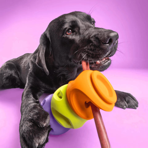 WAGLAB Playstack | The Bully